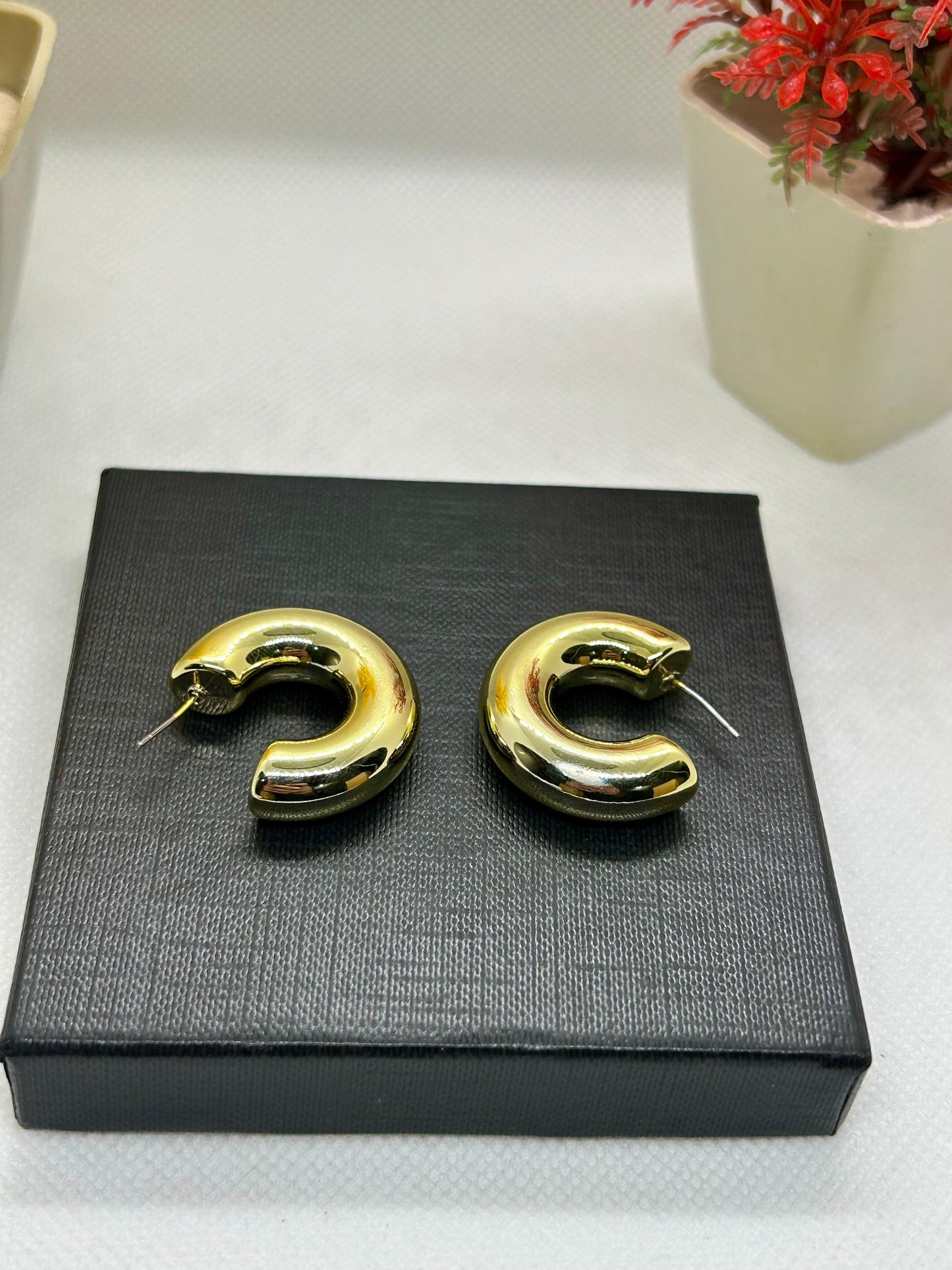 Stainless Steel Trendy Hoops