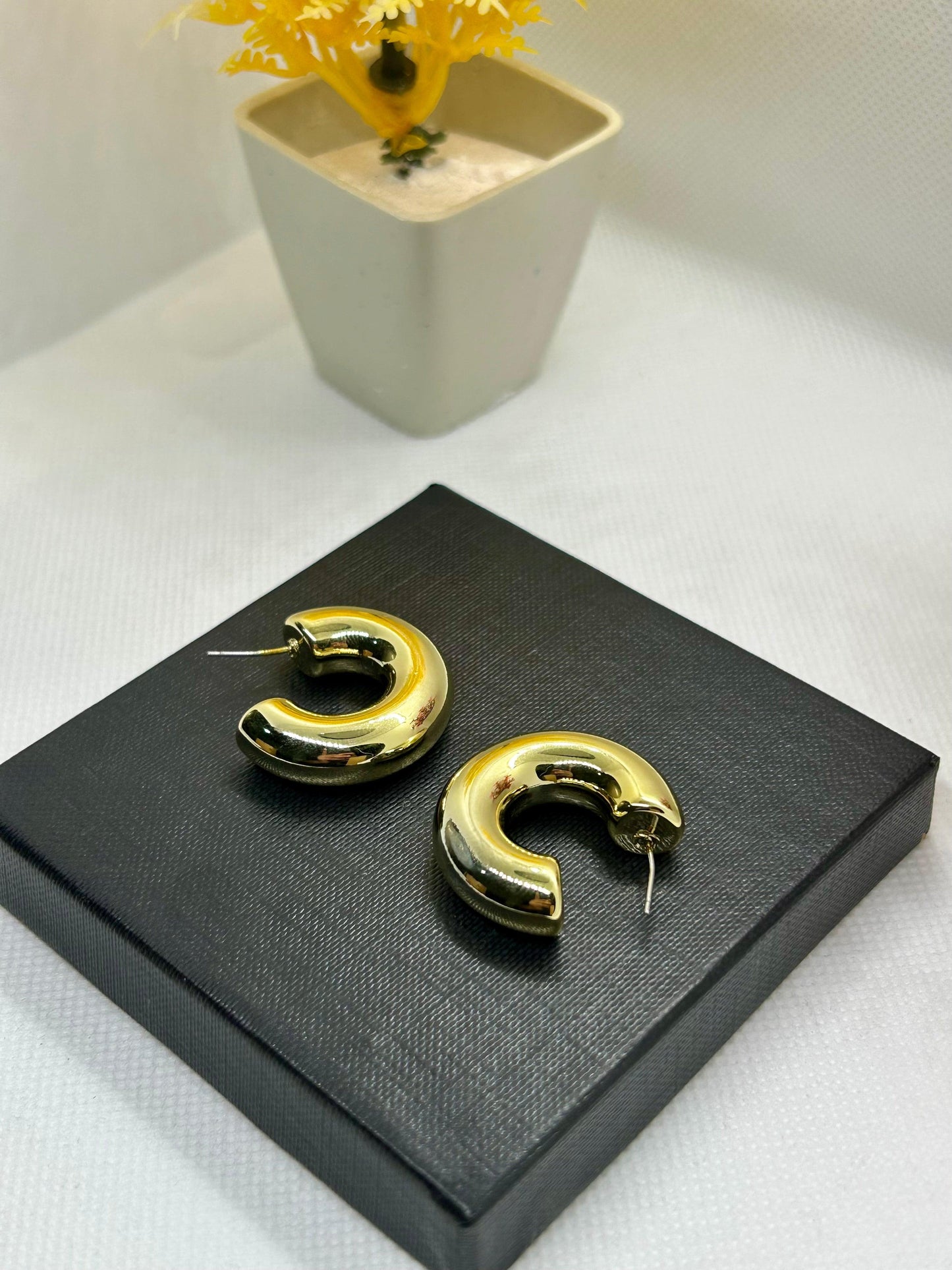 Stainless Steel Trendy Hoops