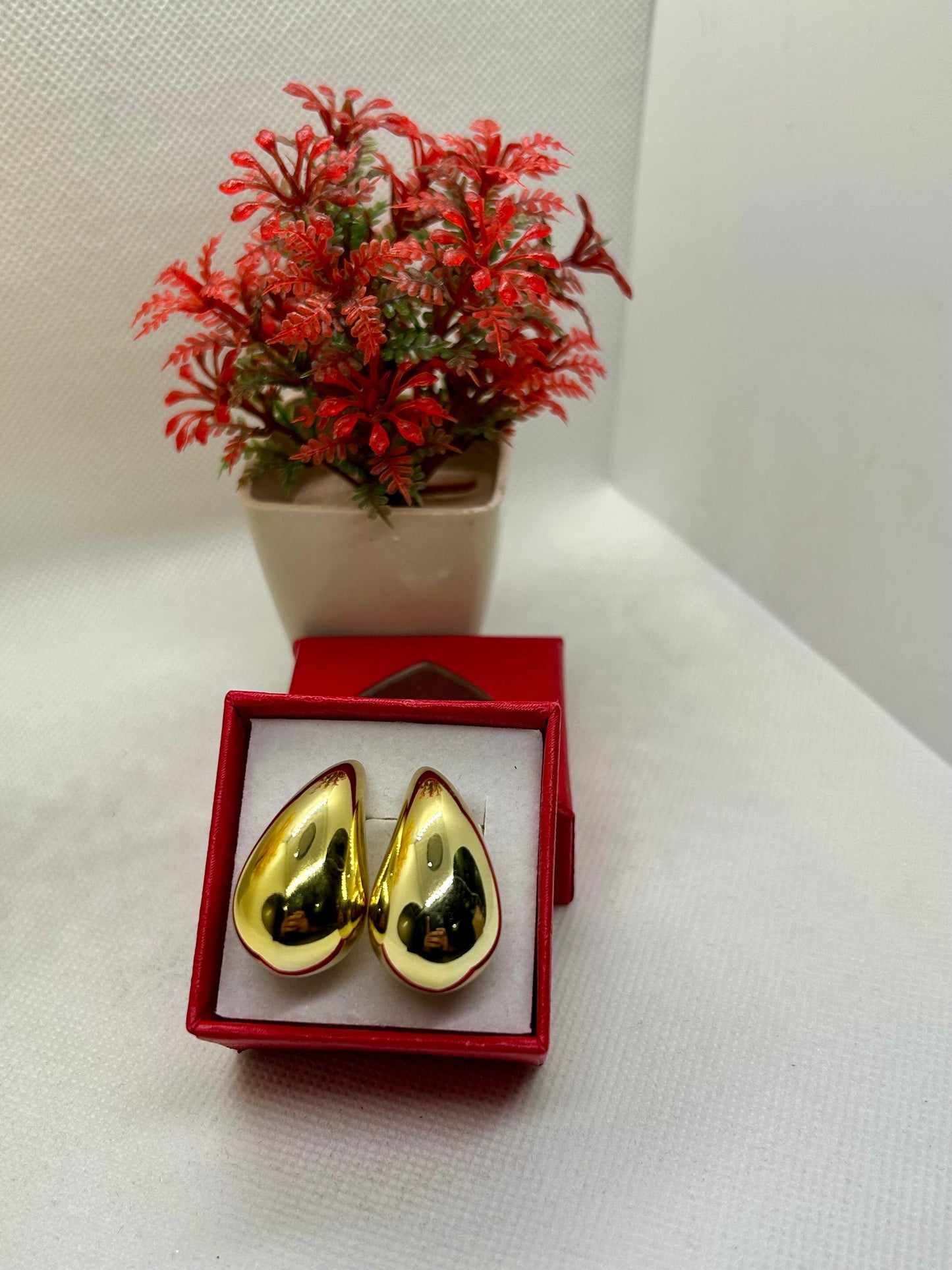 Stainless Steel Coma Shape Earrings
