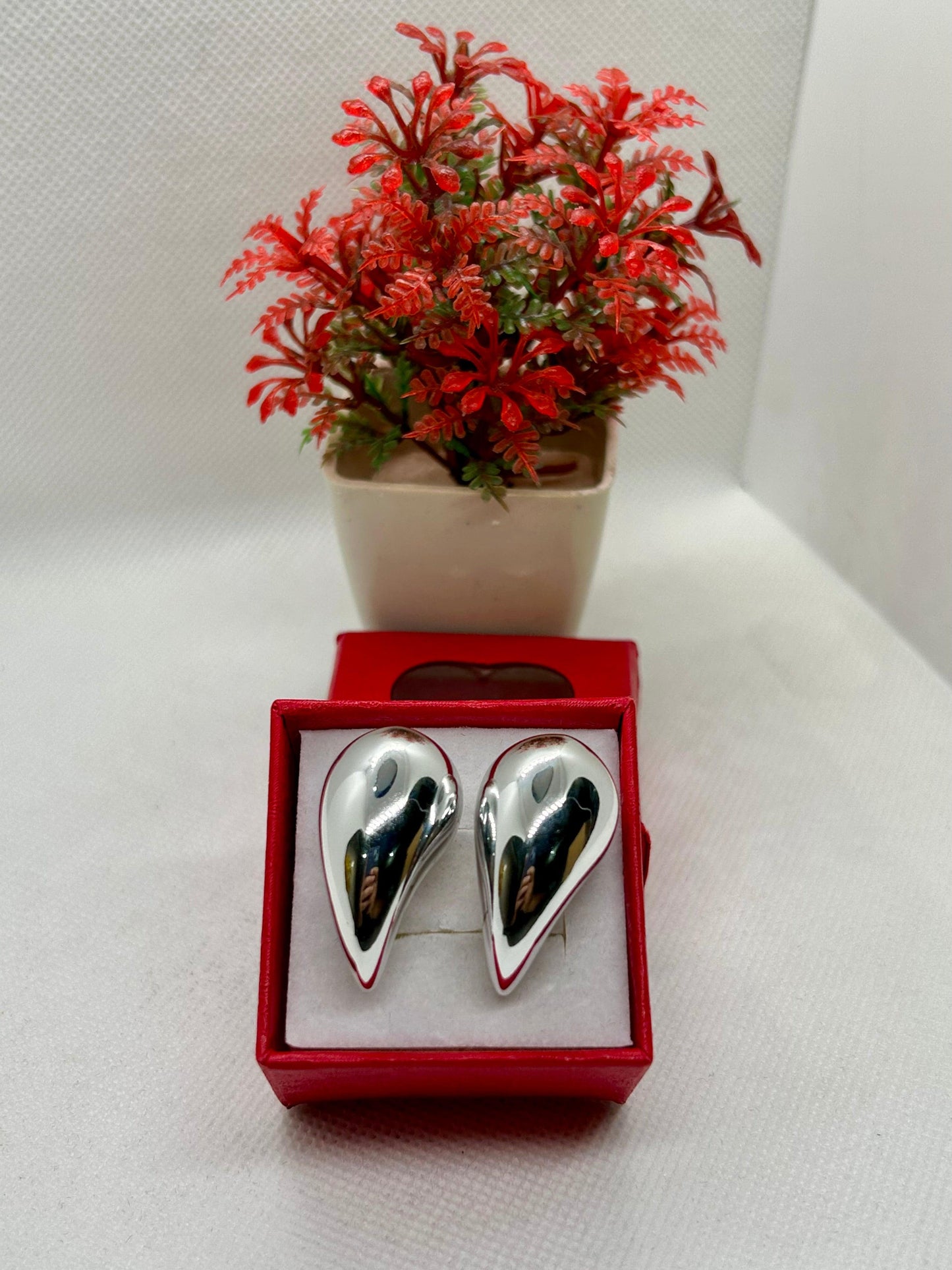 Stainless Steel Coma Shape Earrings