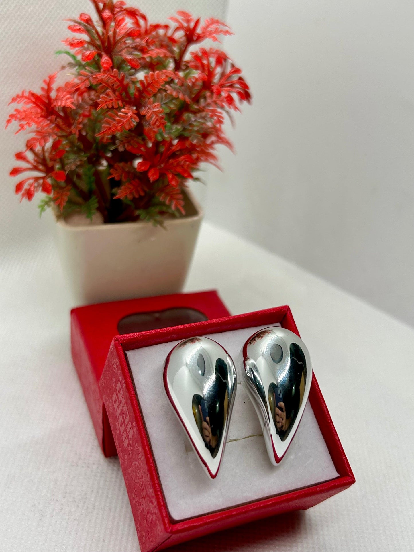 Stainless Steel Coma Shape Earrings
