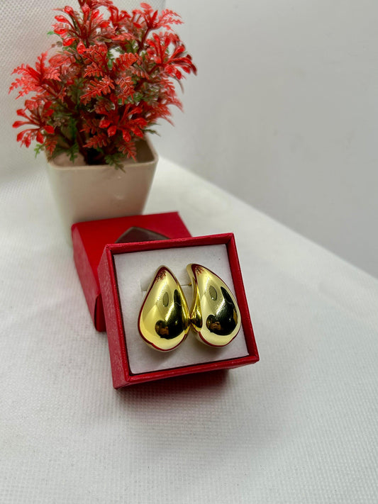 Stainless Steel Coma Shape Earrings