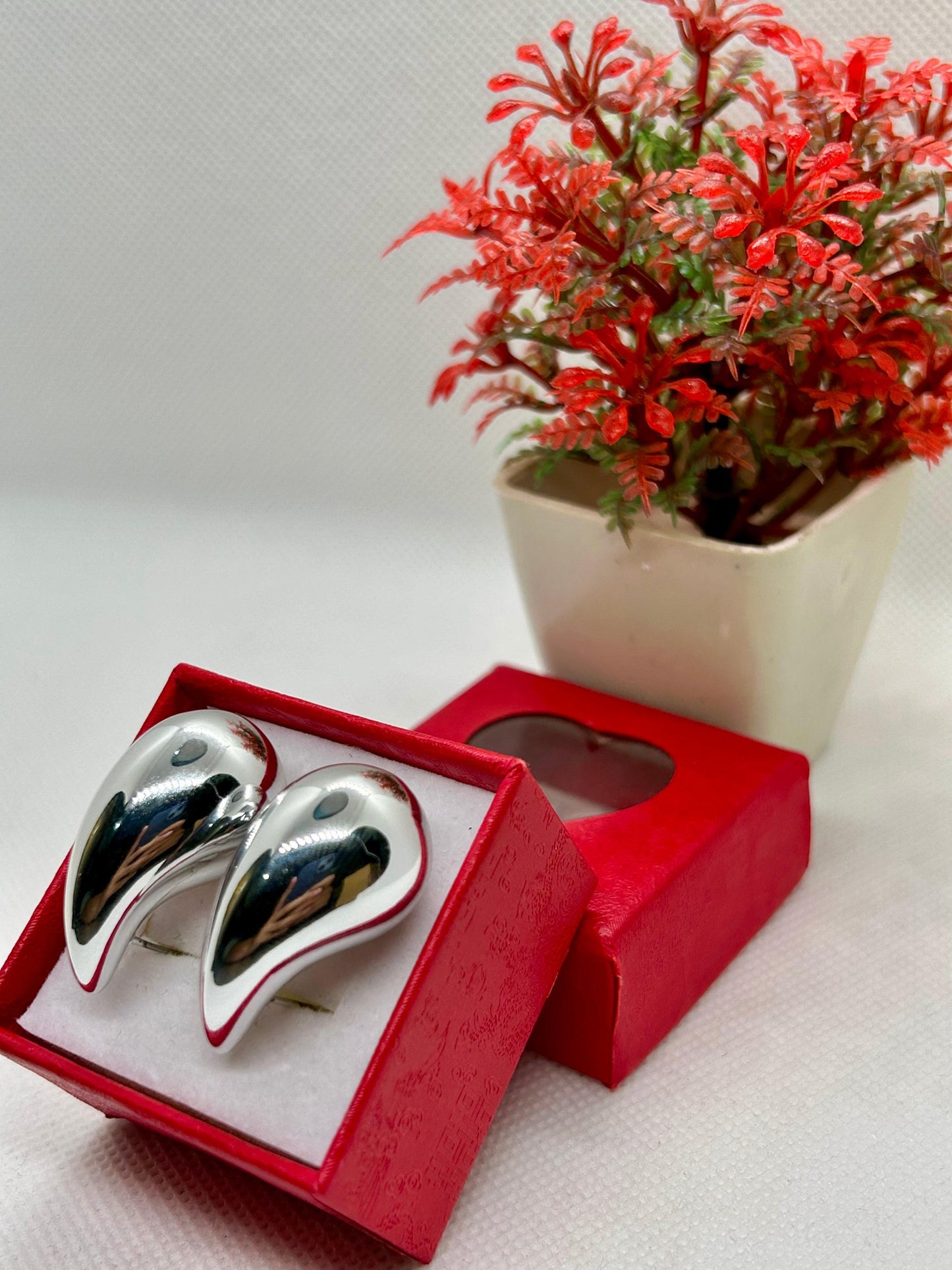 Stainless Steel Coma Shape Earrings