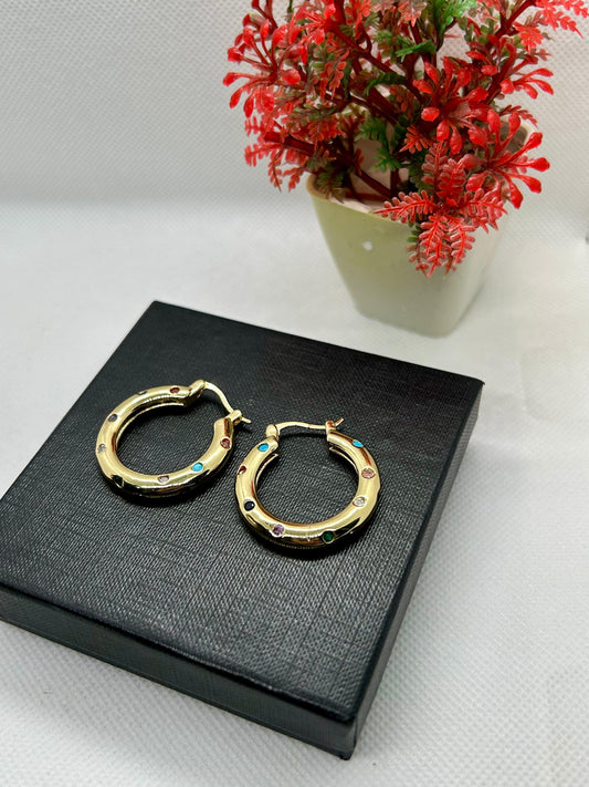 Multi Embeded Stones Stainless Steel Hoops