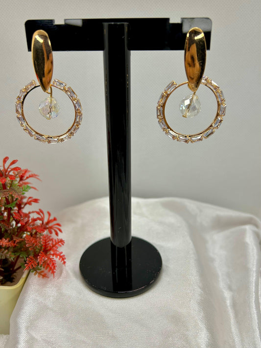 Stainless Steel Crystal Circle Earrings